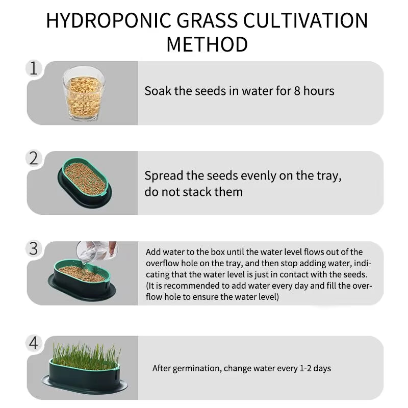 GROW Pet Cat Nip, Cat Grass, Sprout Dish Hydroponic DIY