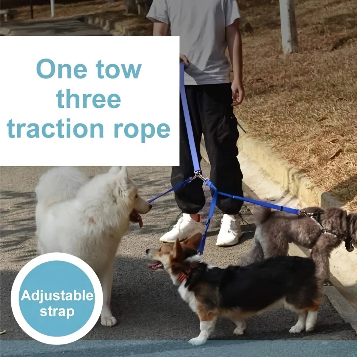 Durable 3-In-1 Nylon Dog Leash with Padded Handle for Outdoor Walking