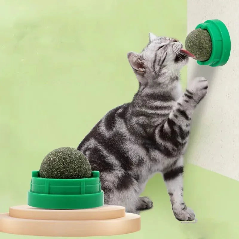 Natural Catnip Wall Stick-On Ball Toy Scratcher Treats