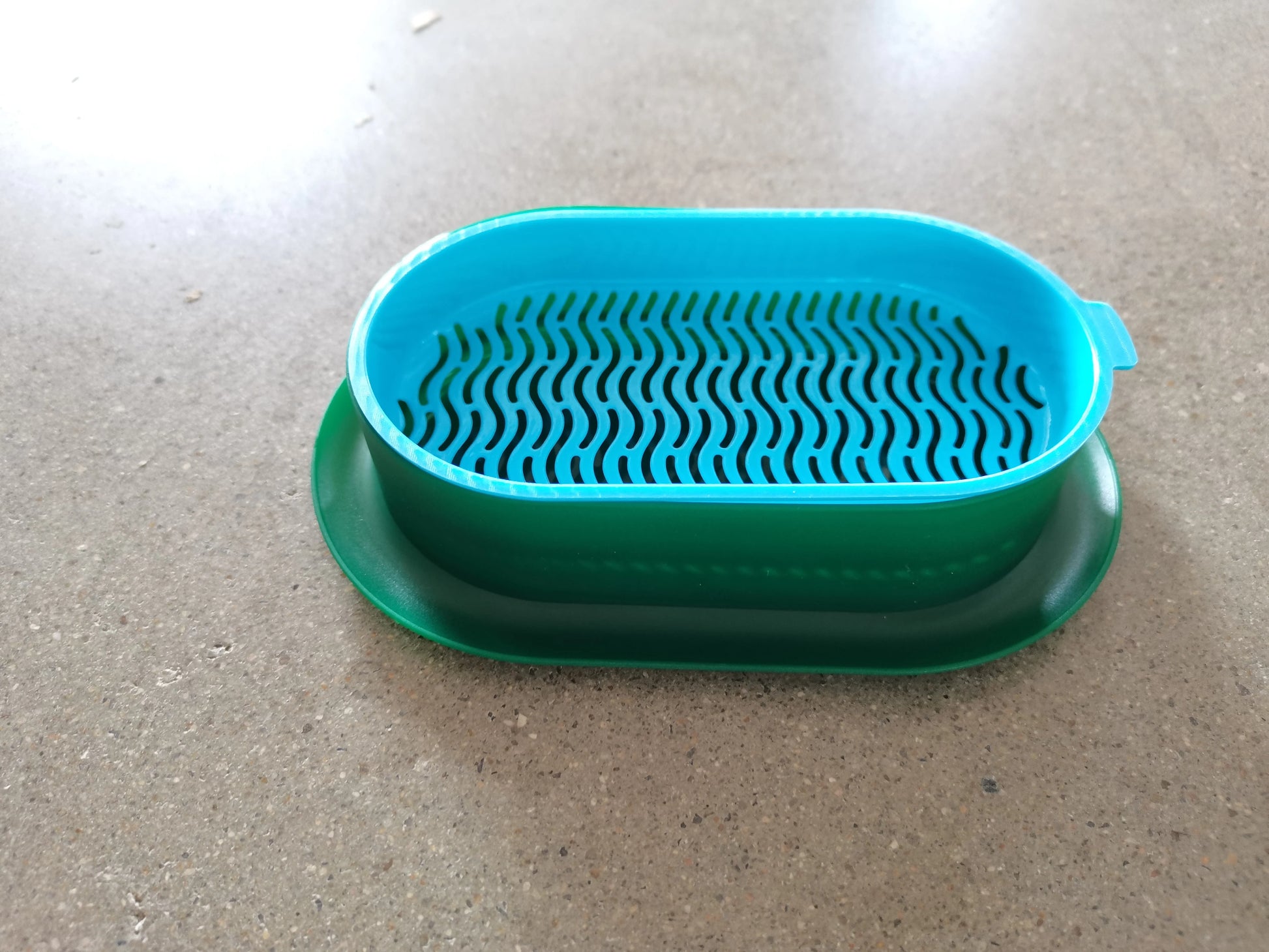 GROW Pet Cat Nip, Cat Grass, Sprout Dish Hydroponic DIY