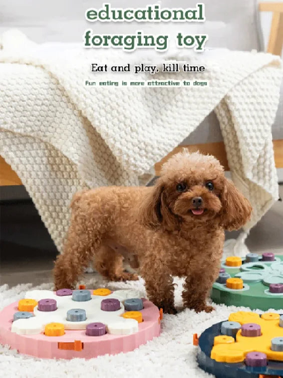 Cat and Dog Interactive Educational Feeding Bowl