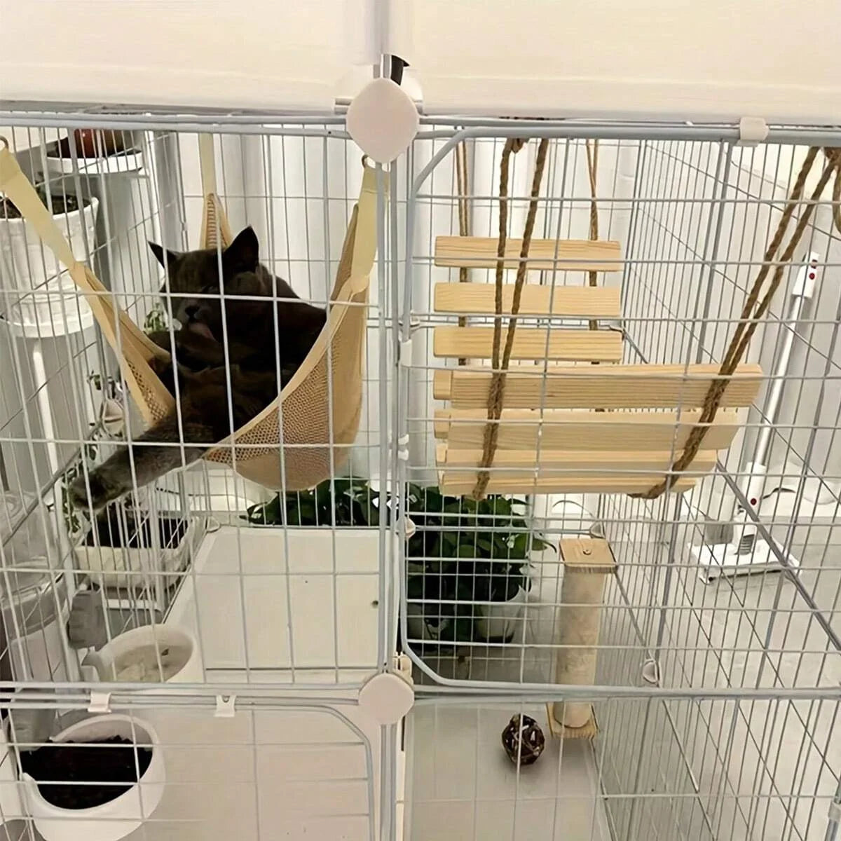 Natural Wood Cat Climbing Ladder Bridge Accessories