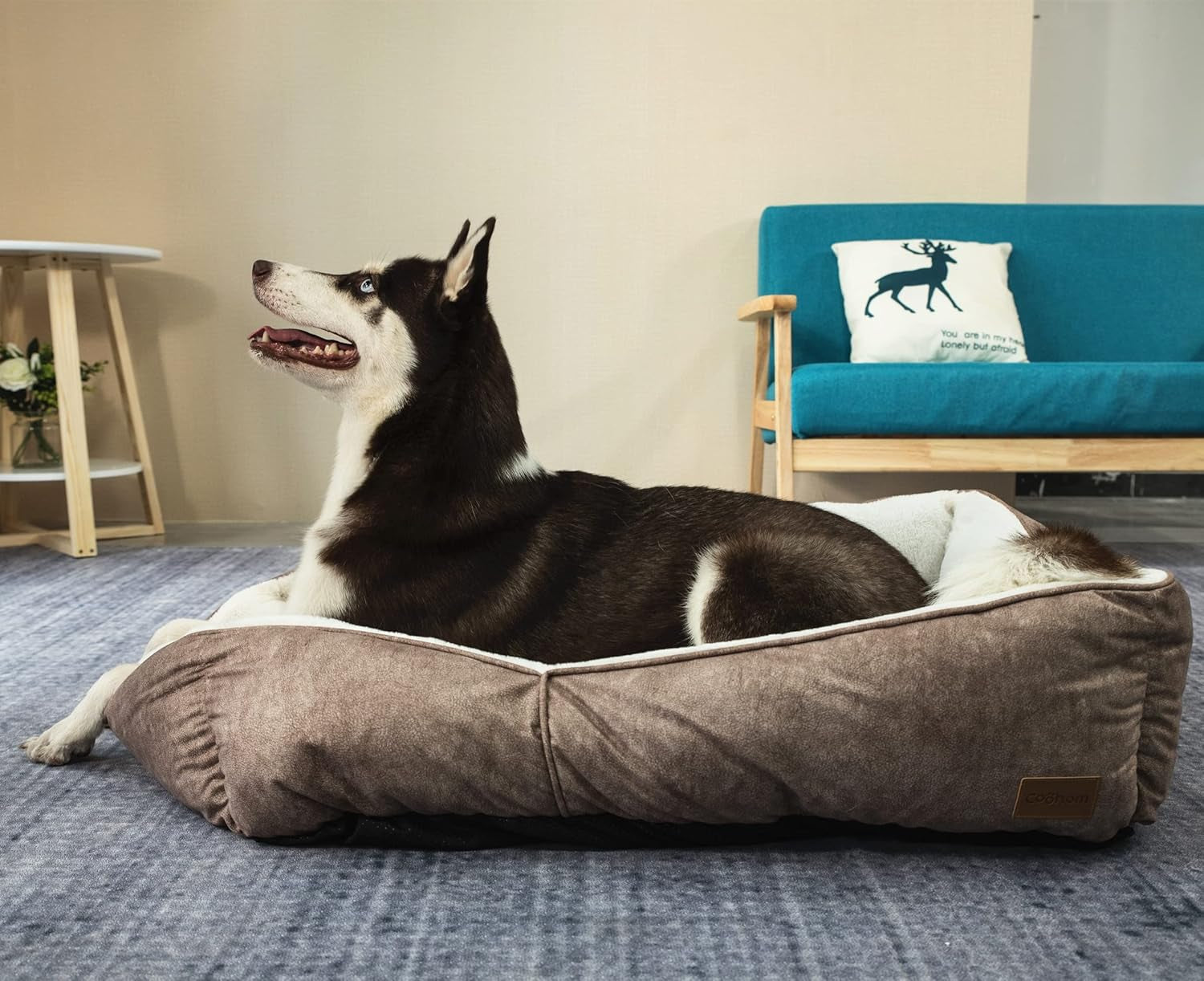 Sophisticated Washable Dog Pet Bed