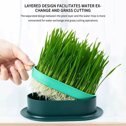 GROW Pet Cat Nip, Cat Grass, Sprout Dish Hydroponic DIY