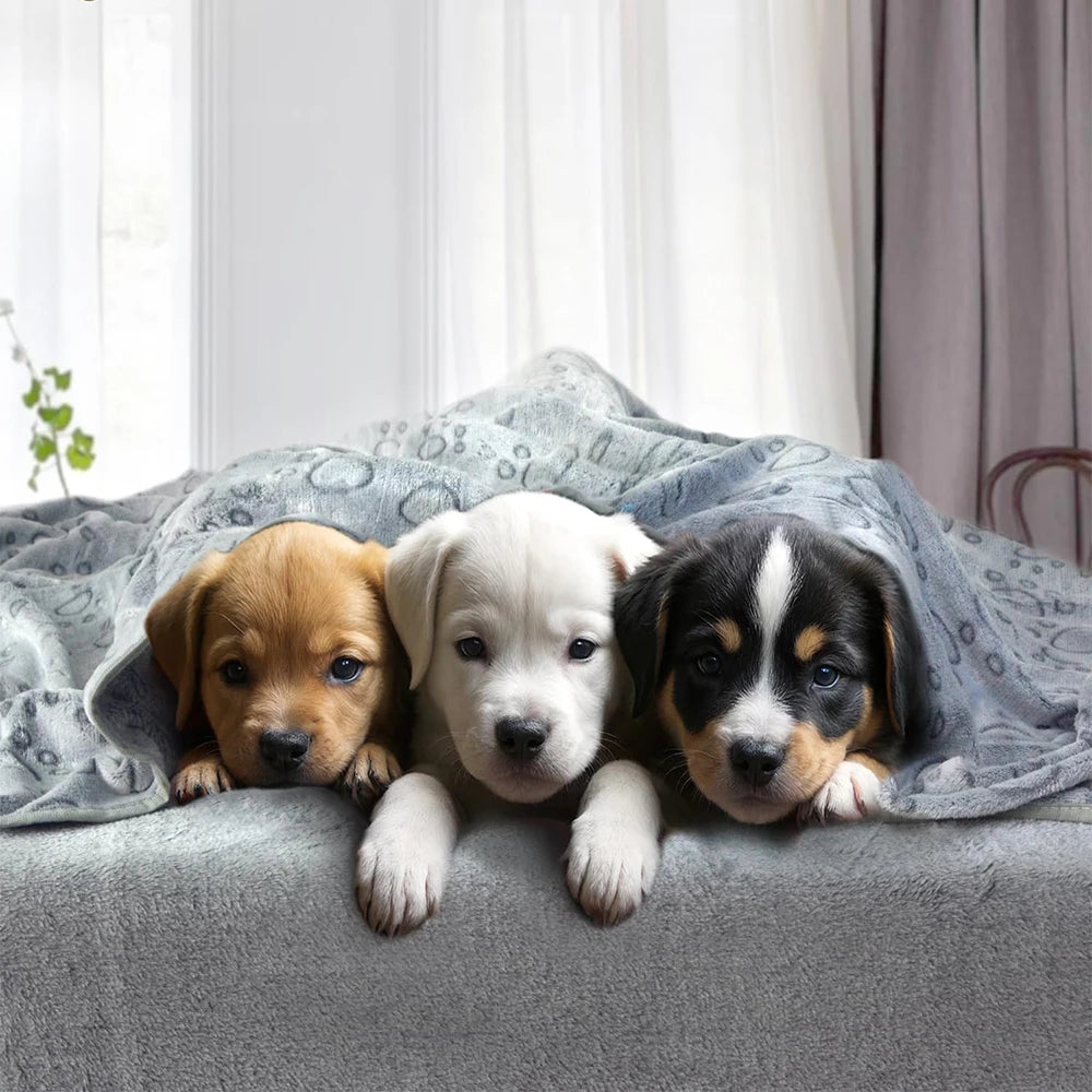 Extra PLUSHY COZY Pet Blanket, 1 Piece