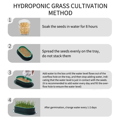 GROW Pet Cat Nip, Cat Grass, Sprout Dish Hydroponic DIY