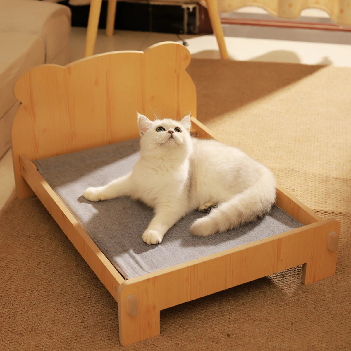Cat BED Wooden Cat and Dog Bed with Teddy Bear Pattern Pet Furniture