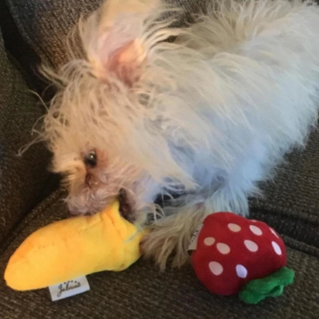 CUTE Dog Toys, 7 Piece Set, Food-themed Plushy SQUEAKY 