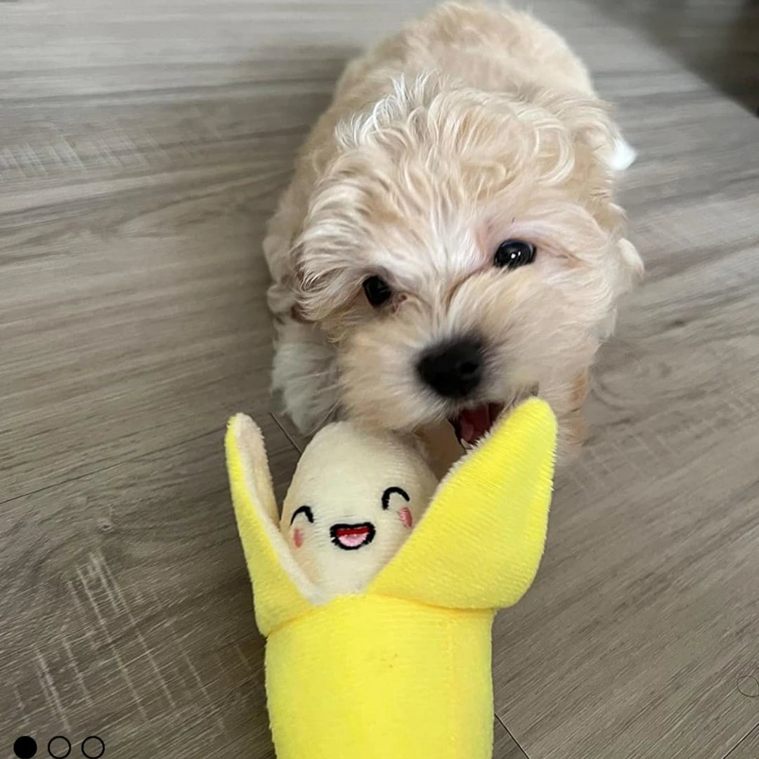 CUTE Dog Toys, 7 Piece Set, Food-themed Plushy SQUEAKY 
