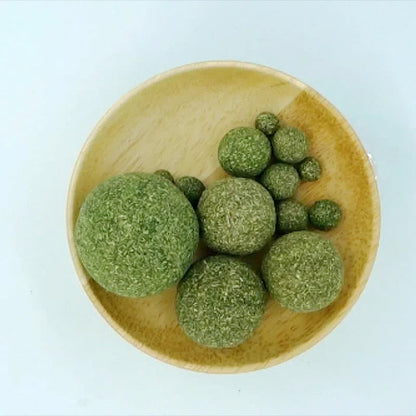FUN & Tasty Mint Edible Catnip Ball 